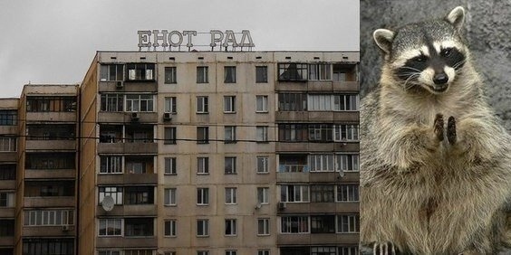 Так себе картинки 03.04.21