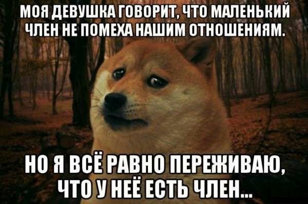 Приколы и чернушка!