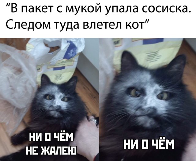 Весёлый полтишок 6.06