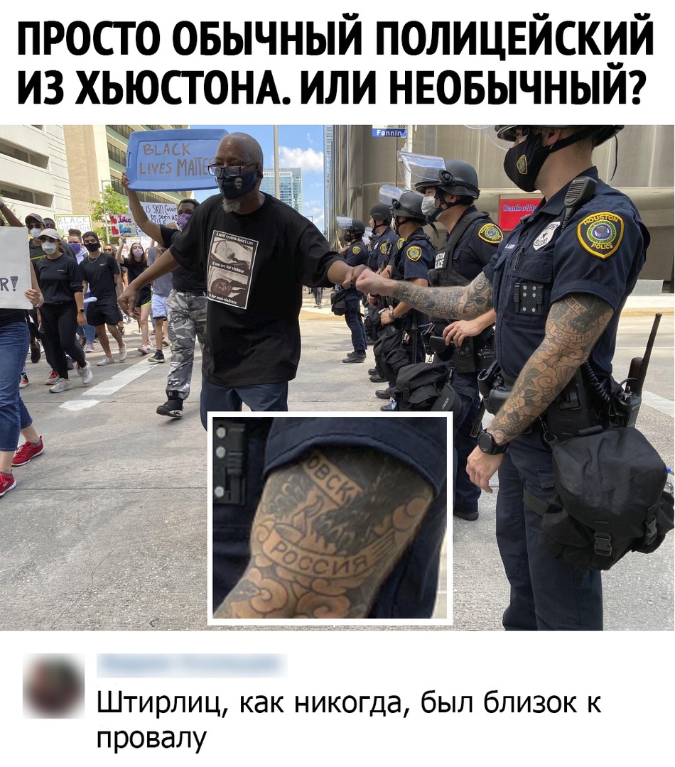 15659229.jpg