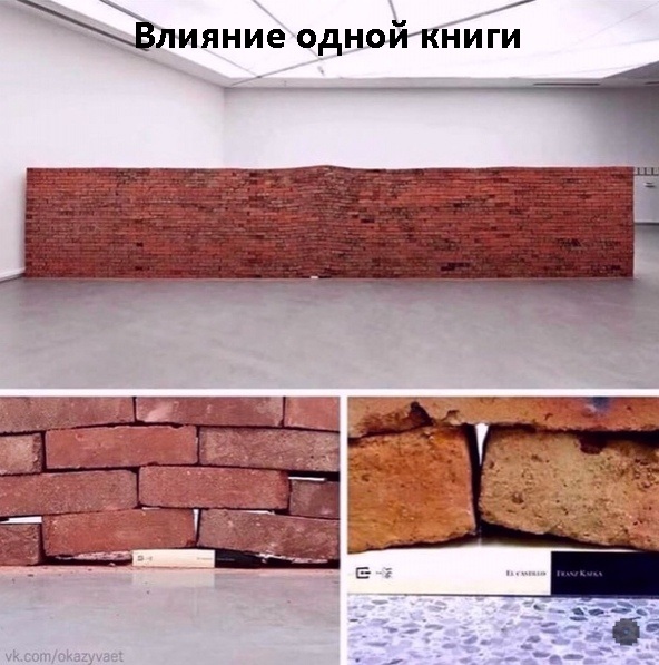 Так себе картинки 10.08.21