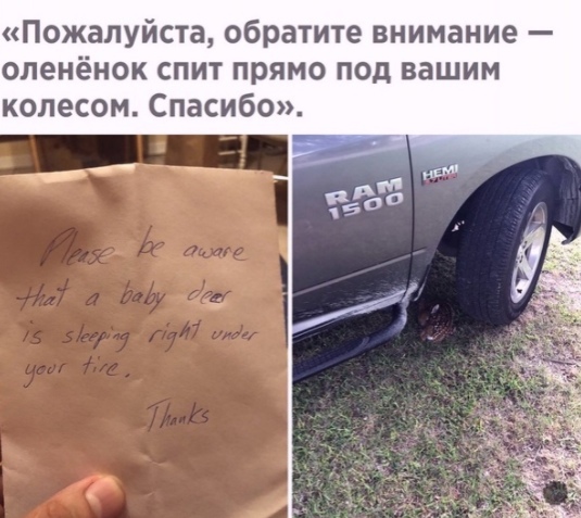 Так себе картинки 15.08.21