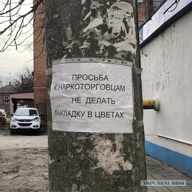 Филадельфия, Кенсингтон авеню