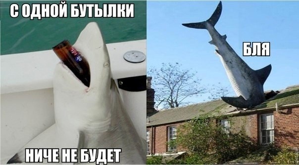 Так себе картинки 30.10.21