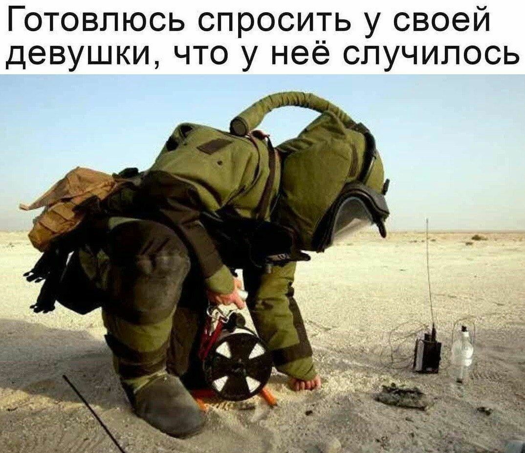 16133229.jpg
