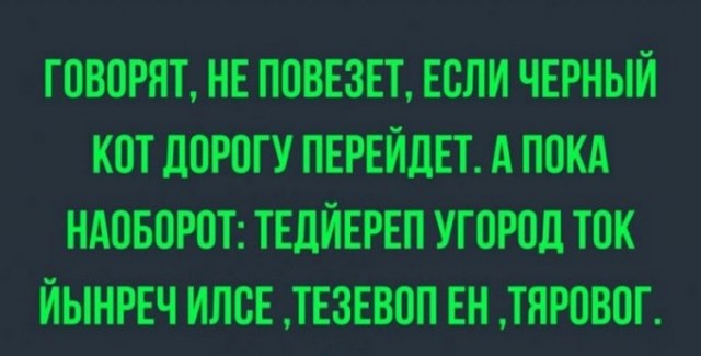 Так себе картинки 22.12.21