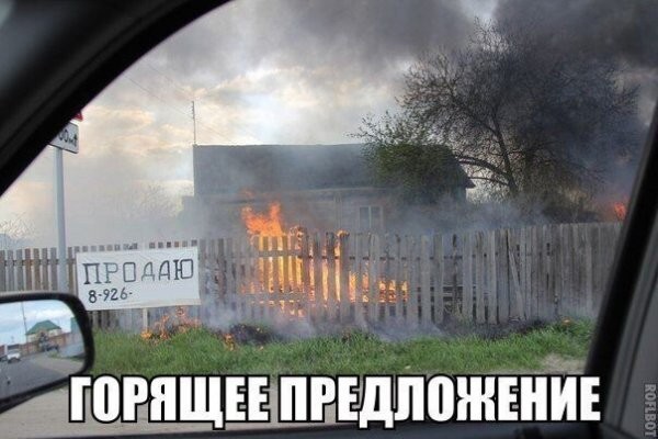 Забавные комментарии из социальных сетей (11.07.22)