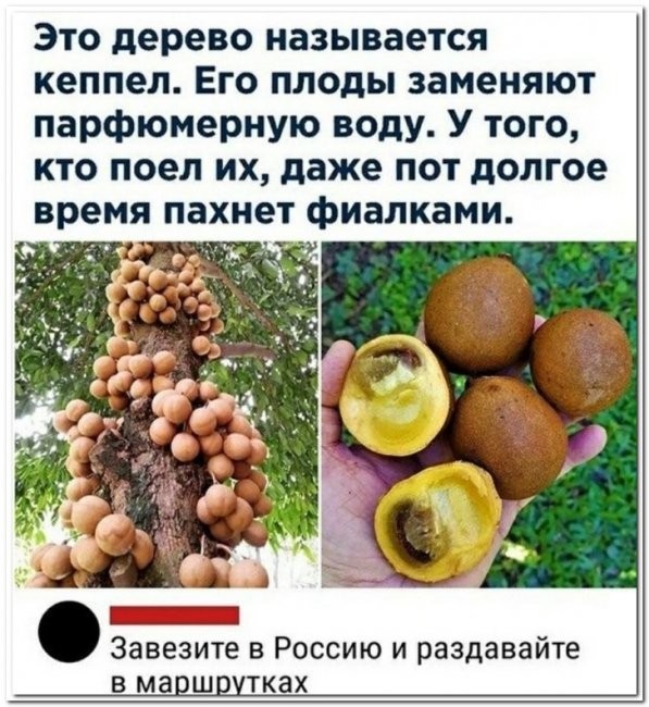 Скриншоты и комментарии из социальных сетей 22.07.22