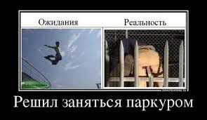 Кот Джеймса Бонда