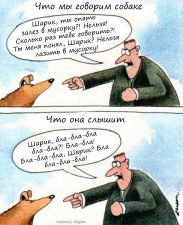 Название темы на картинке