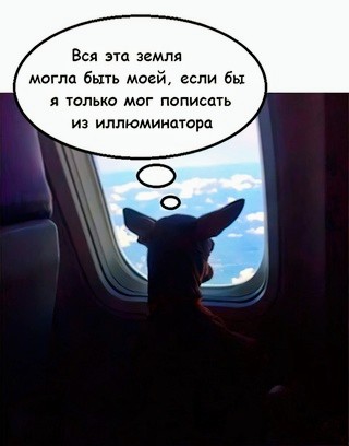 Картинки и мемы для настроения - 119
