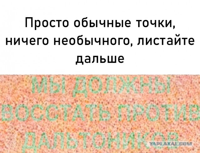 Весёлый полтишок 18.11.22