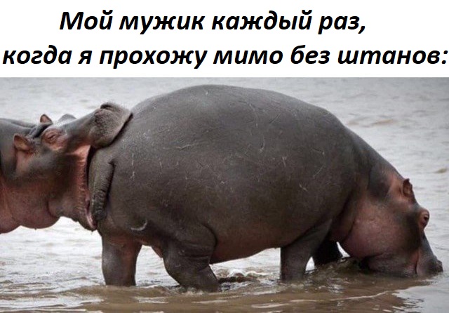 Шутки плоские, как грудь Киры Найтли