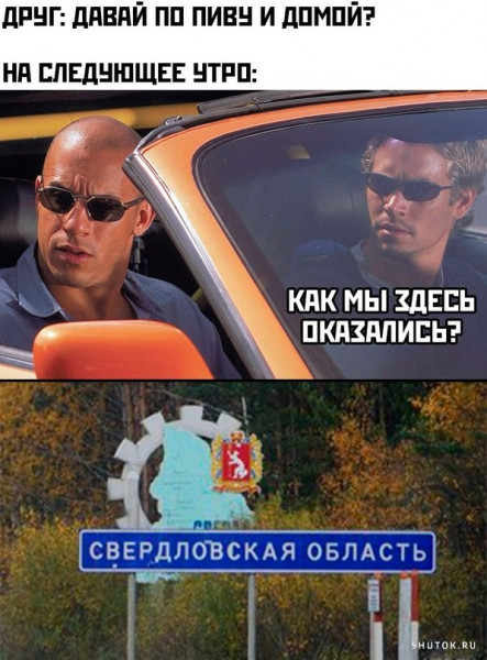 Весёлый полтишок 18.12.2023