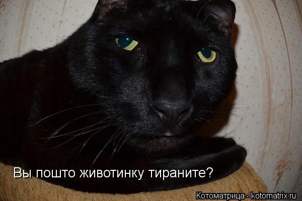 Куча ФУБЛЯ, Ваши ставки