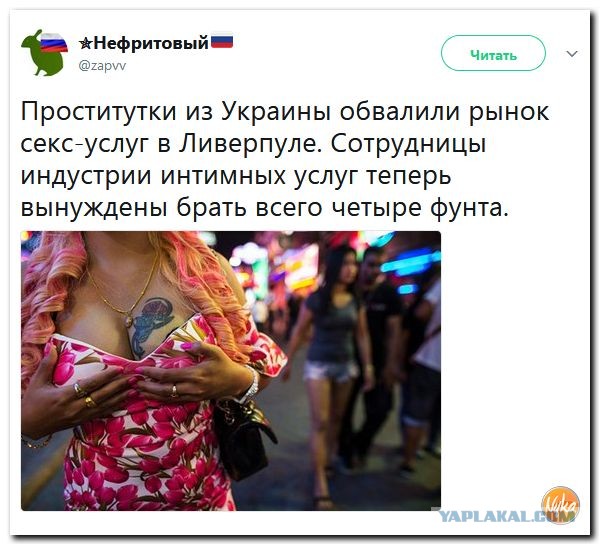 Ева Эльфи получила третий ПорноОскар