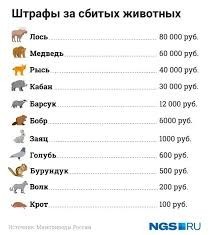 "Рено Дастер" раздавил стаю голубей, которых кормила бабушка в Сысерти
