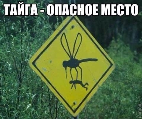Картинки на 12.04.25