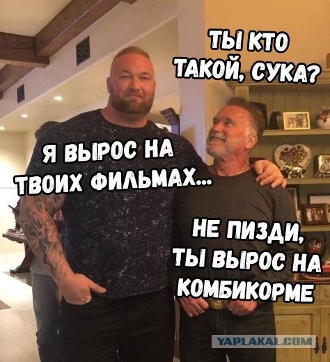 В Москве восьмиклассник пришел в школу с палками и трубами, чтобы отомстить за двойку. Он смог повалить нескольких сотрудников Росгвардии.
