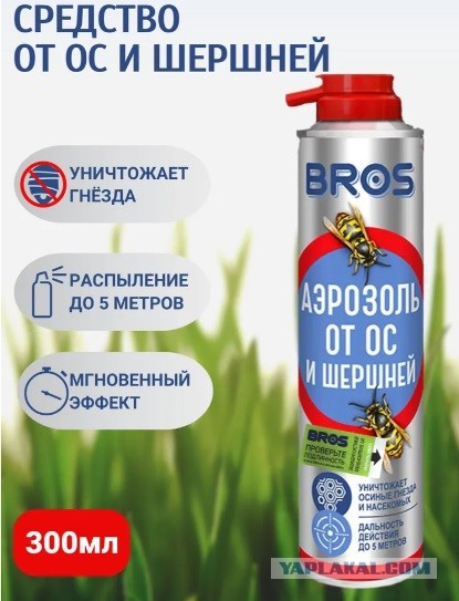 Друзья, как поймать/прогнать шершня?