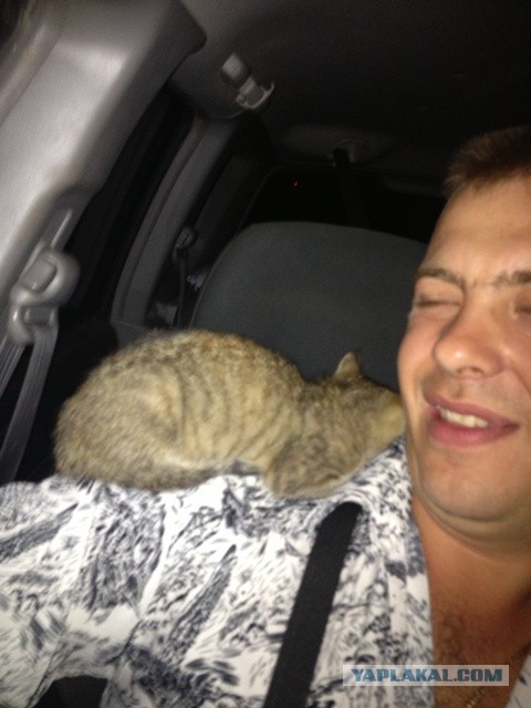 А что это вы тут делаете?