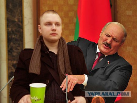 Солидность