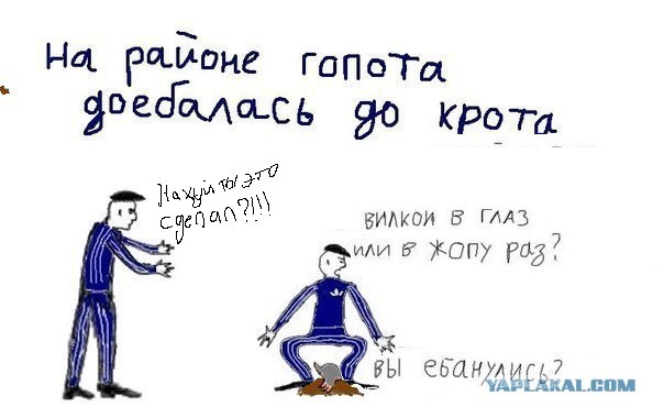 Гопота