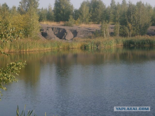 Голубая вода 2014