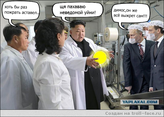 Заботы товарища Ким Чон Ына