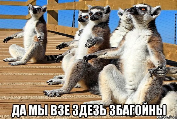 Безграничное веселье