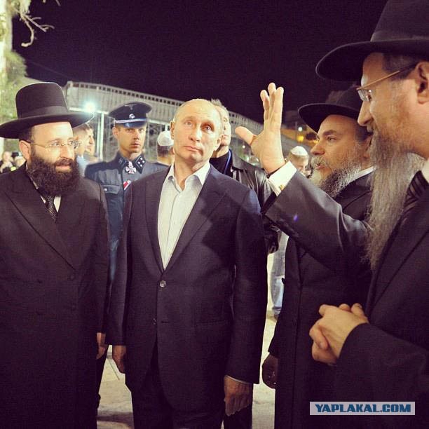 Свой среди своих