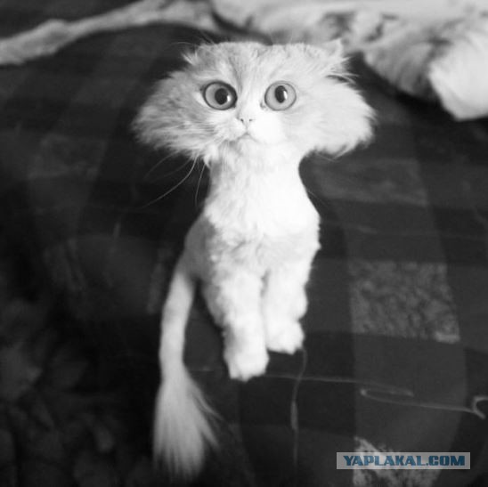 Чистка клавиатуры