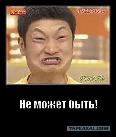 Новые мемы