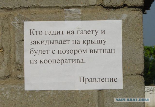 Прикольные объявления и надписи