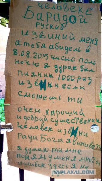 Человек с бородой - извини!