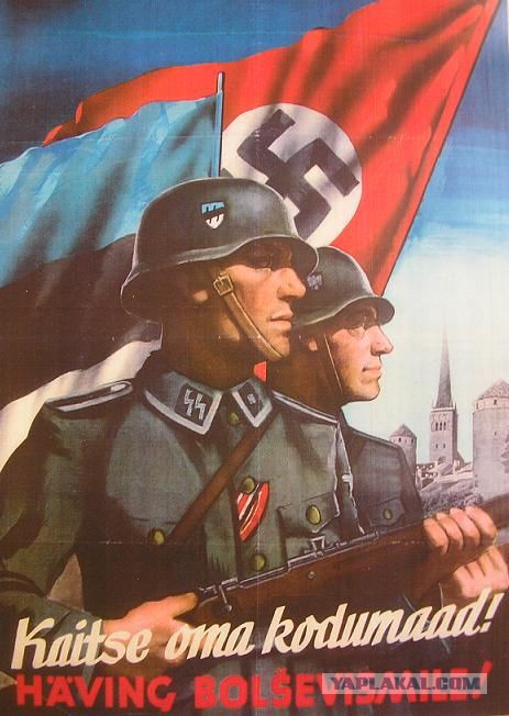 В Эстонии почему-то не в почёте негры