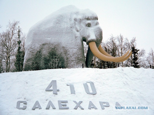 Один билет до Салехарда