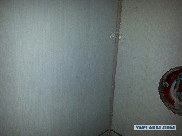 Боремся с плесенью