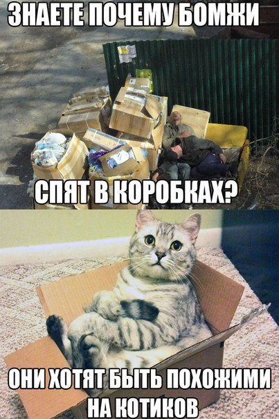 Картинки и приколы из соц.сетей и интернета