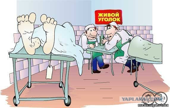 Весёлые картинки