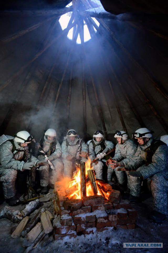 Подборка картинок.