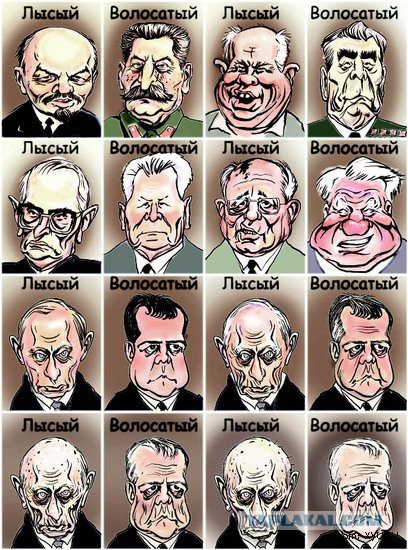 Поклонская с дельфинами