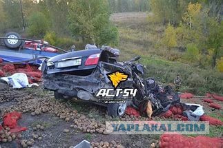 Картошка убийца! Это должен знать каждый!