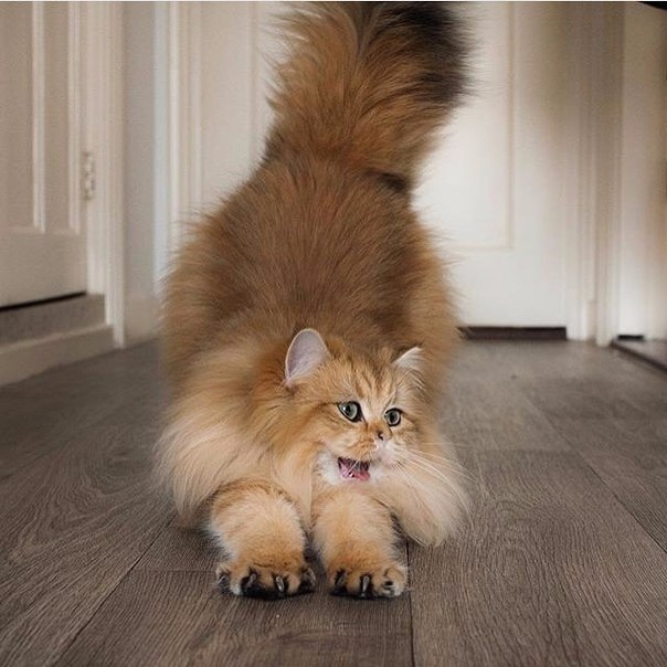 Интересные и веселые картинки