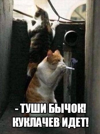 Несколько картинок