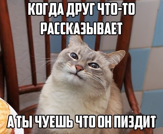 Прямой эфир: выступление В. Путина