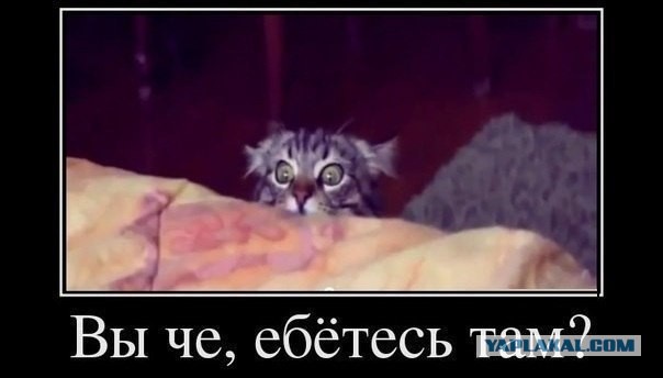 25 порций юмора не для всех