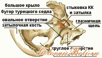 Злой медик - праздничный спецвыпуск