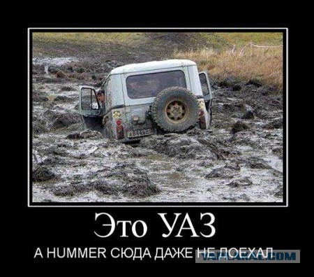 Привет Пингвину!