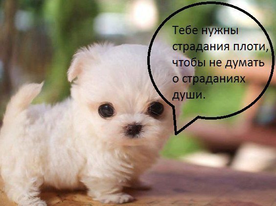 Приколы в стиле "регресс"